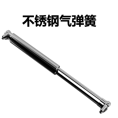 Stainless Steel Gas Struts